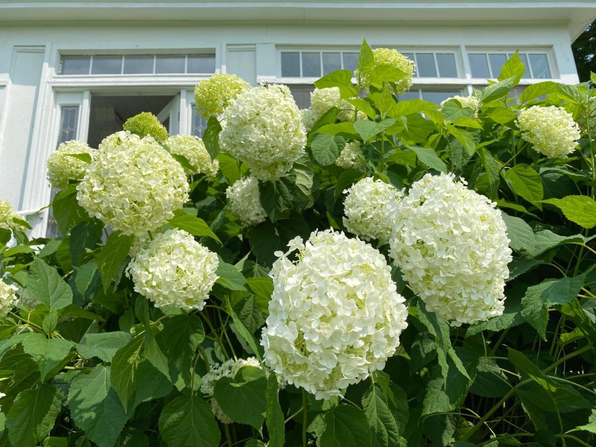 Bloom Farm Guesthouse Mount Vision Eksteriør bilde