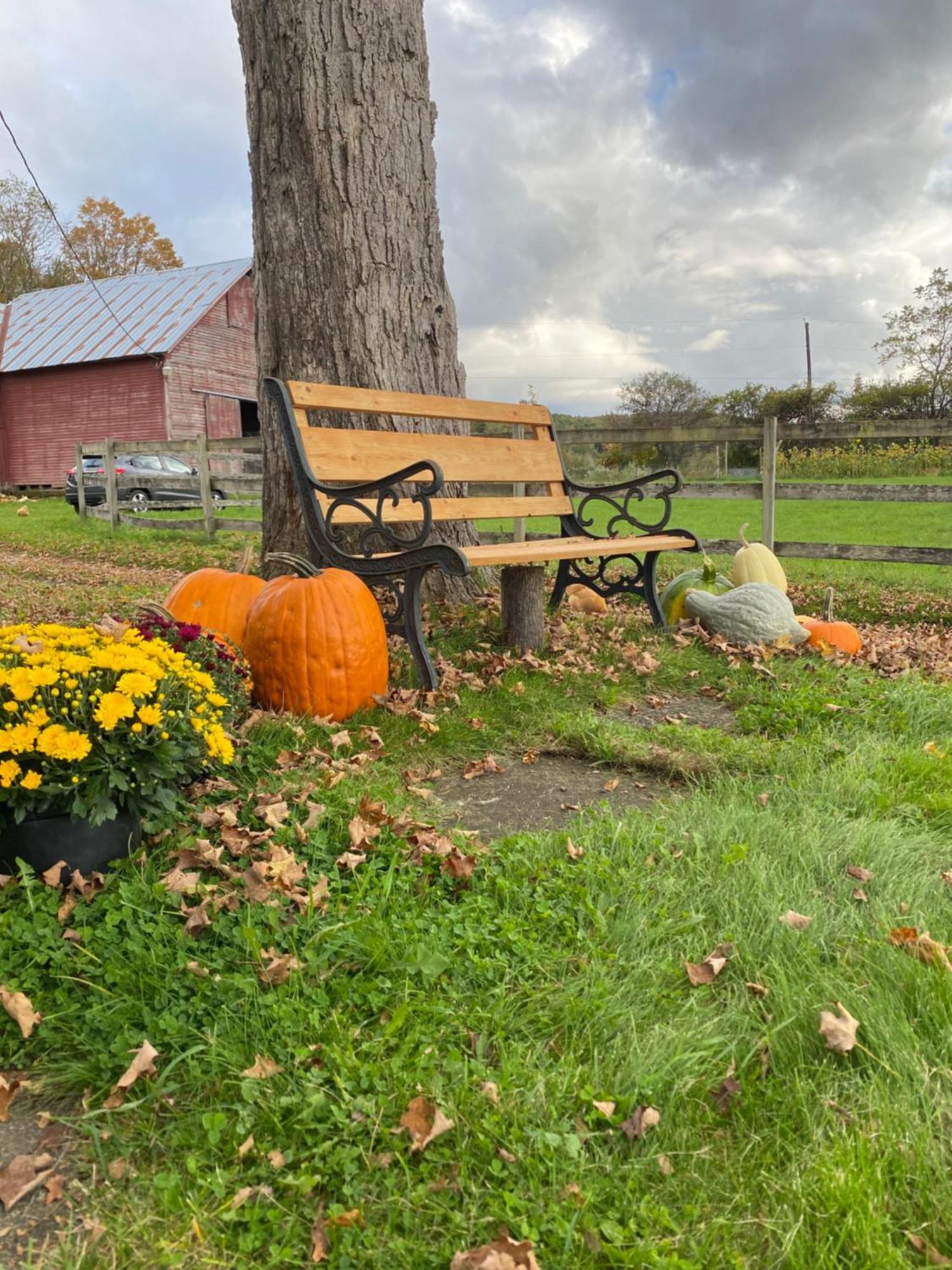 Bloom Farm Guesthouse Mount Vision Eksteriør bilde